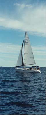 image3.jpg